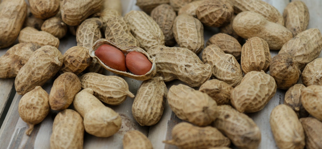 Manfaat Kacang Tanah Sebagai Teman Diet