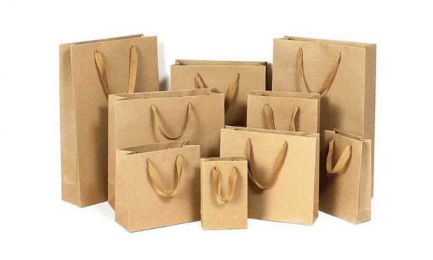 Fungsi Paper Bag yang bisa dimanfaatkan keperluannya